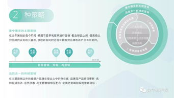 2018年消費(fèi)電子產(chǎn)品海外營(yíng)銷手冊(cè) Facebook平臺(tái)銷售策略